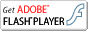図:FLASH PLAYER