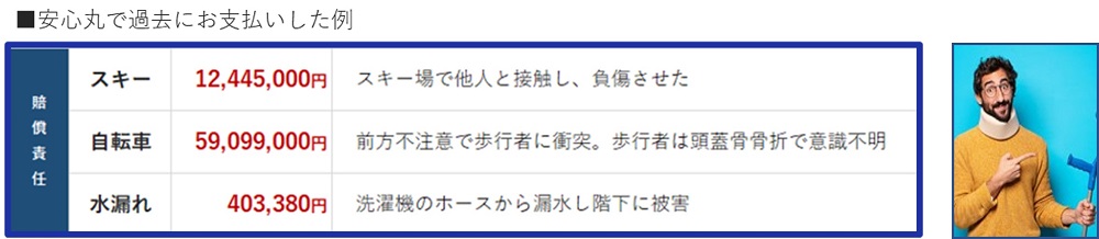 安心丸で過去にお支払いした例