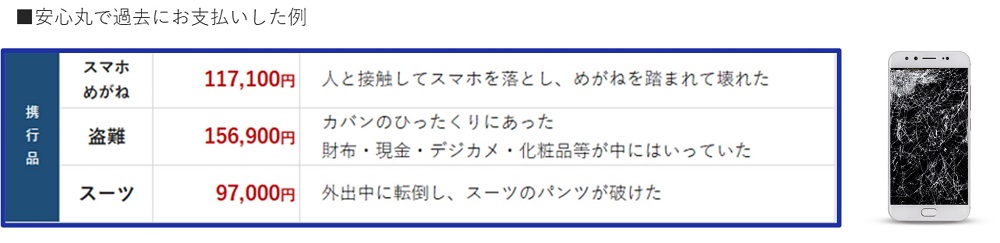安心丸で過去にお支払いした例