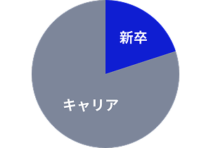 新卒採用／キャリア採用比率 2:8のアイコン